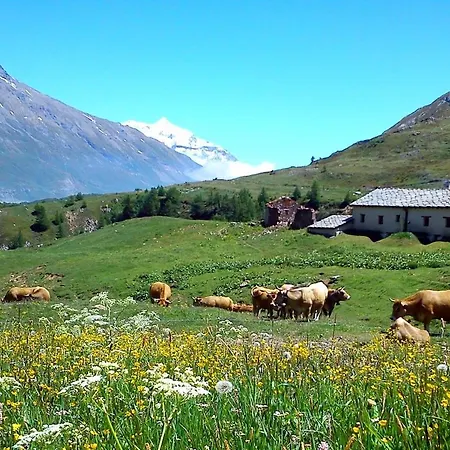 D'alpage De Savalin A 2000 Metres D'altitude Au Du Mont-cenis Chalet Val Cenis