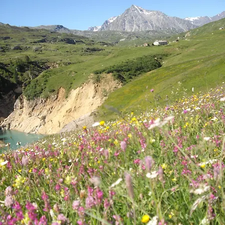 D'alpage De Savalin A 2000 Metres D'altitude Au Du Mont-cenis